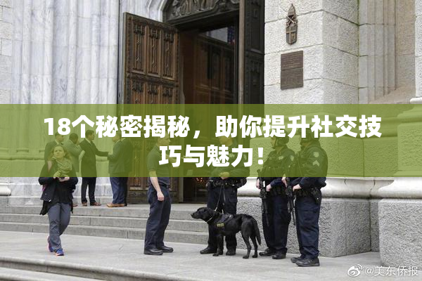 18个秘密揭秘，助你提升社交技巧与魅力！