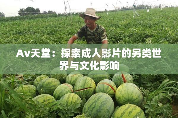 Av天堂：探索成人影片的另类世界与文化影响