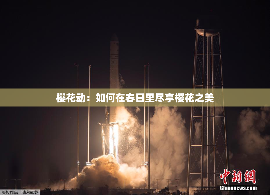 樱花动：如何在春日里尽享樱花之美