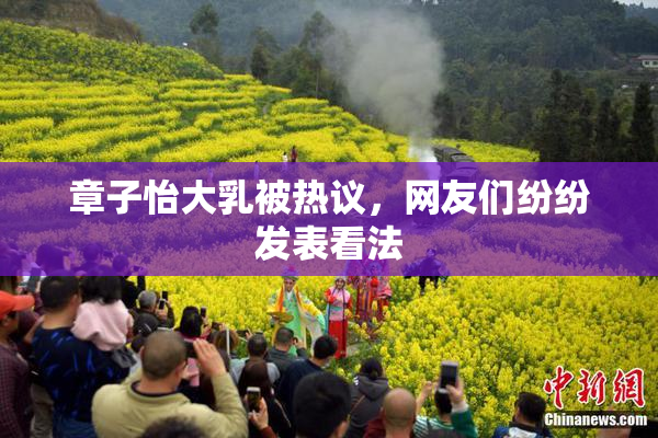 章子怡大乳被热议，网友们纷纷发表看法