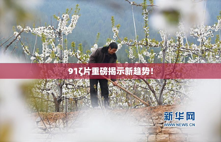 91ζ片重磅揭示新趋势！