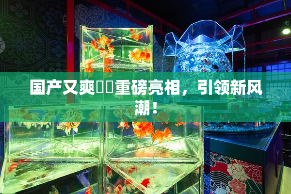 国产又爽❌‌重磅亮相，引领新风潮！