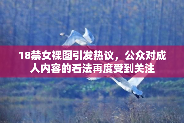 18禁女裸图引发热议，公众对成人内容的看法再度受到关注