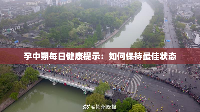 孕中期每日健康提示：如何保持最佳状态