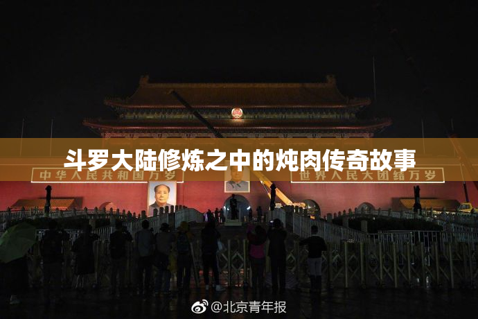 斗罗大陆修炼之中的炖肉传奇故事