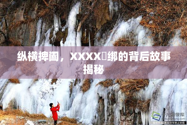 纵横捭阖，XXXX秵绑的背后故事揭秘