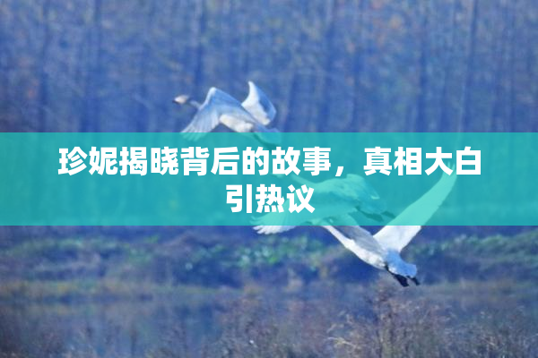 珍妮揭晓背后的故事，真相大白引热议