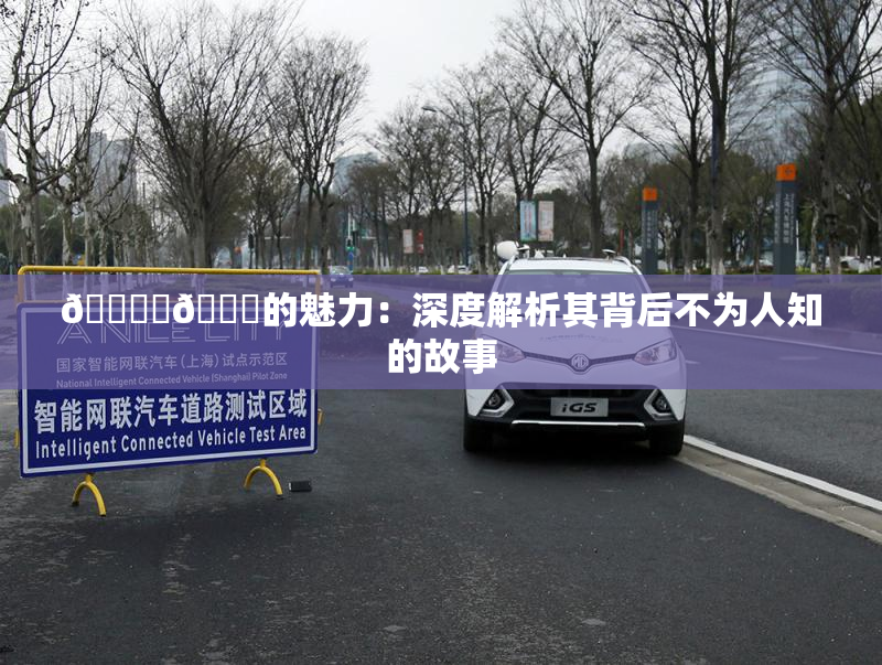 🔞‌🍌的魅力：深度解析其背后不为人知的故事