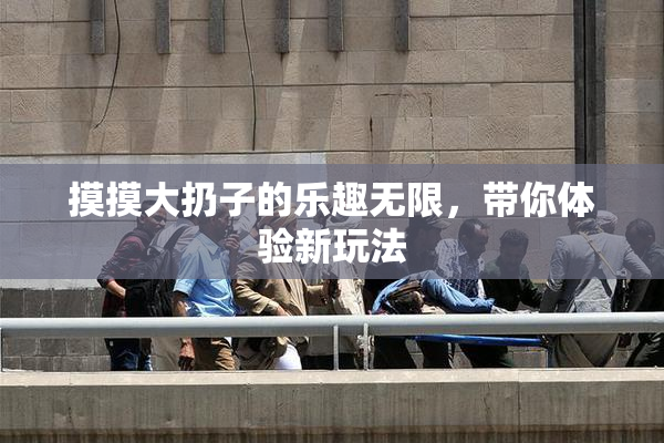 摸摸大扔子的乐趣无限，带你体验新玩法