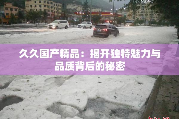 久久国产精品：揭开独特魅力与品质背后的秘密
