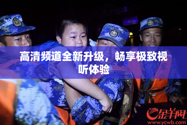 高清频道全新升级，畅享极致视听体验