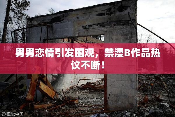 男男恋情引发围观，禁漫B作品热议不断！
