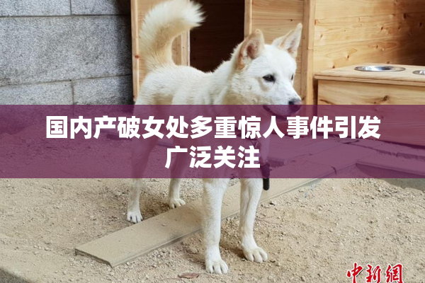 国内产破女处多重惊人事件引发广泛关注
