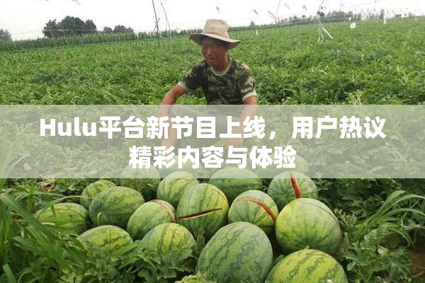 Hulu平台新节目上线，用户热议精彩内容与体验