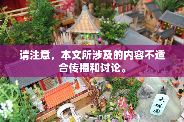 请注意，本文所涉及的内容不适合传播和讨论。