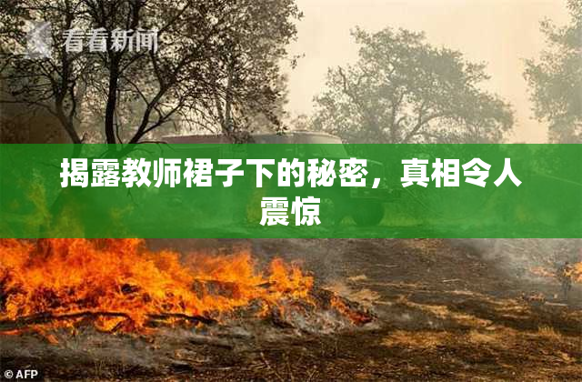 揭露教师裙子下的秘密，真相令人震惊
