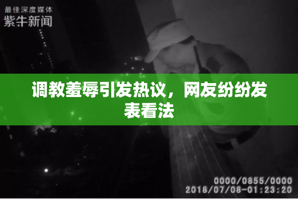 调教羞辱引发热议，网友纷纷发表看法