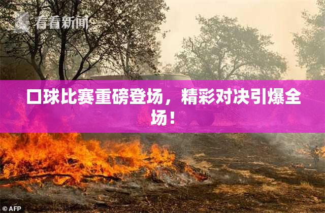 口球比赛重磅登场，精彩对决引爆全场！