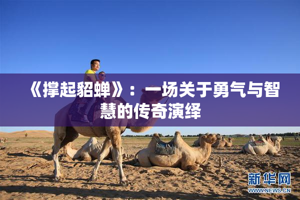 《撑起貂蝉》：一场关于勇气与智慧的传奇演绎