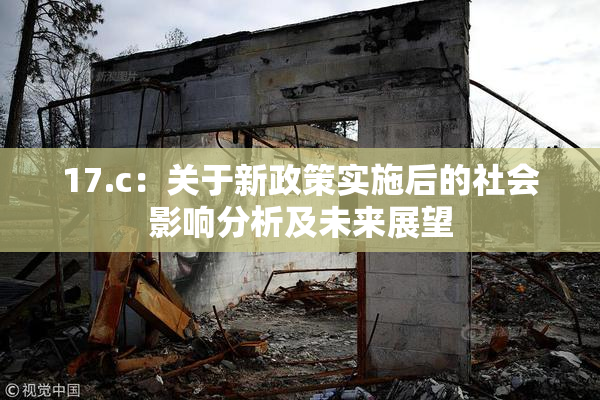 17.c：关于新政策实施后的社会影响分析及未来展望