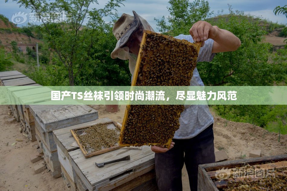 国产TS丝袜引领时尚潮流，尽显魅力风范