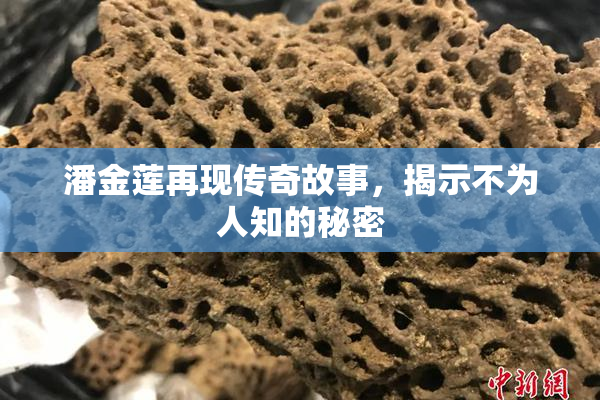 潘金莲再现传奇故事，揭示不为人知的秘密