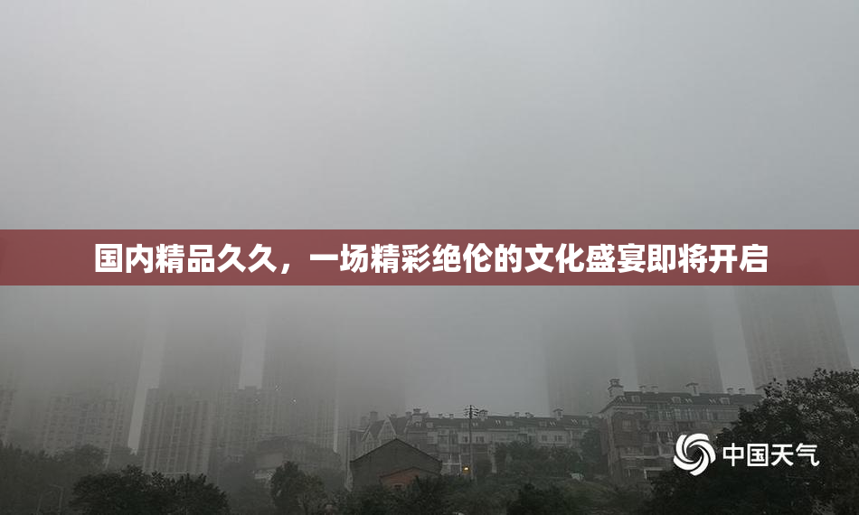 国内精品久久，一场精彩绝伦的文化盛宴即将开启
