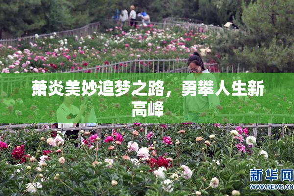 萧炎美妙追梦之路，勇攀人生新高峰