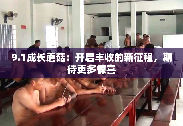 9.1成长蘑菇：开启丰收的新征程，期待更多惊喜
