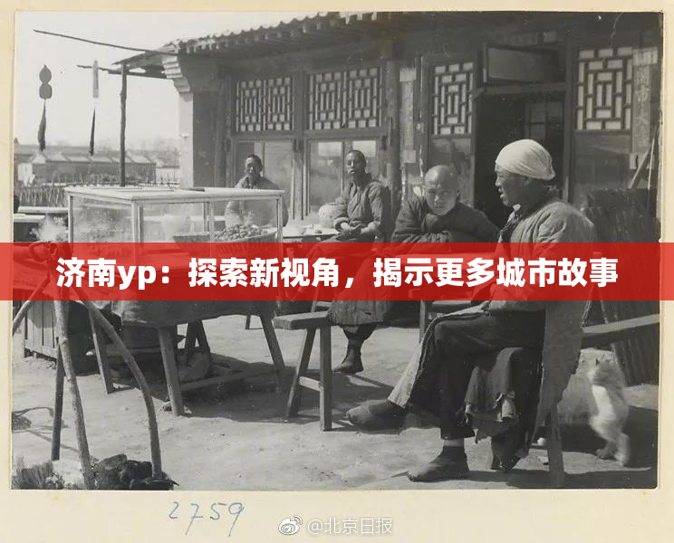 济南yp：探索新视角，揭示更多城市故事