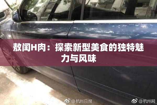 敖闰H肉：探索新型美食的独特魅力与风味