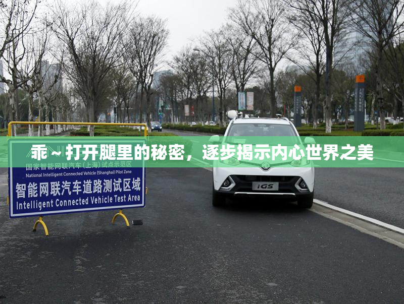 乖～打开腿里的秘密，逐步揭示内心世界之美