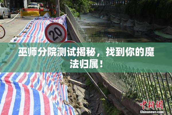 巫师分院测试揭秘，找到你的魔法归属！