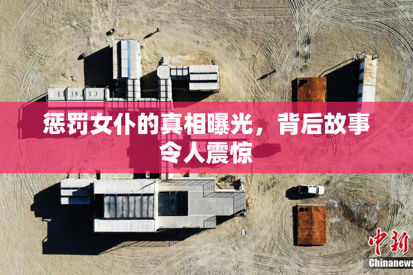 惩罚女仆的真相曝光，背后故事令人震惊