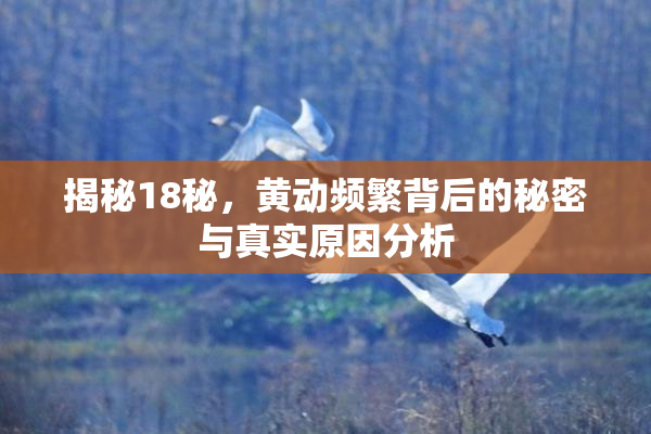 揭秘18秘，黄动频繁背后的秘密与真实原因分析
