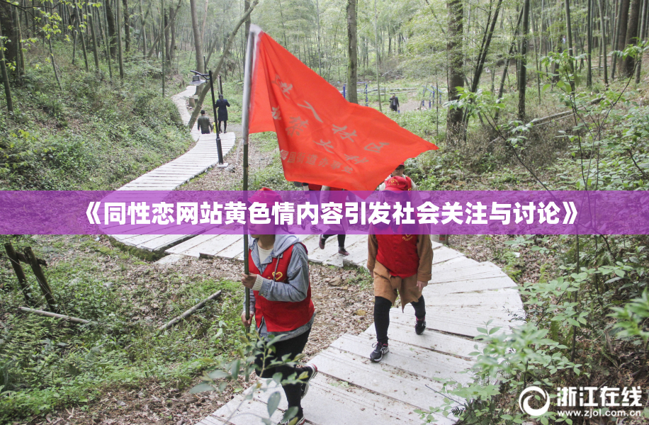 《同性恋网站黄色情内容引发社会关注与讨论》