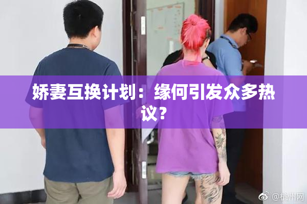 娇妻互换计划：缘何引发众多热议？