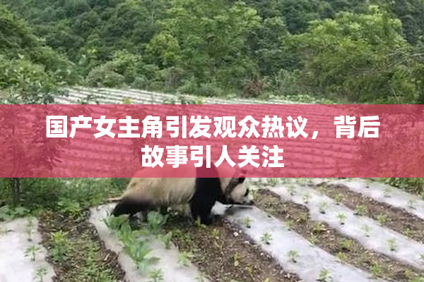 国产女主角引发观众热议，背后故事引人关注