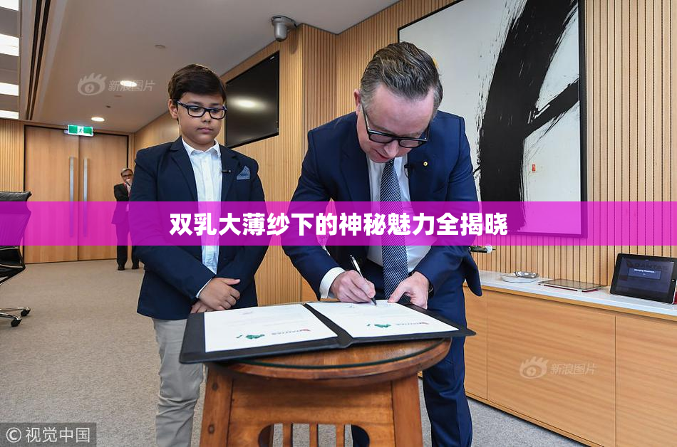 双乳大薄纱下的神秘魅力全揭晓