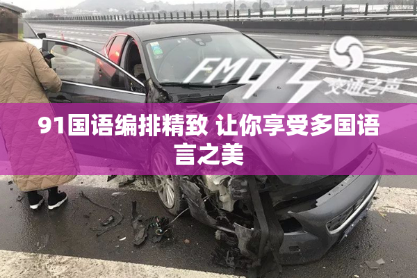 91国语编排精致 让你享受多国语言之美
