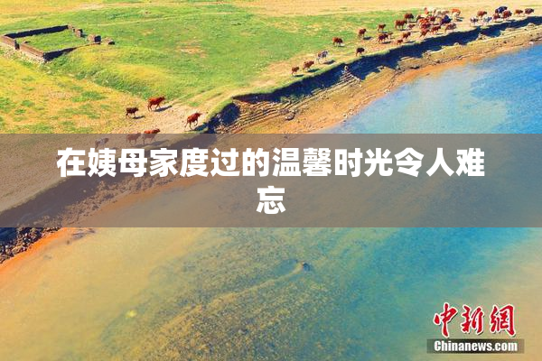 在姨母家度过的温馨时光令人难忘