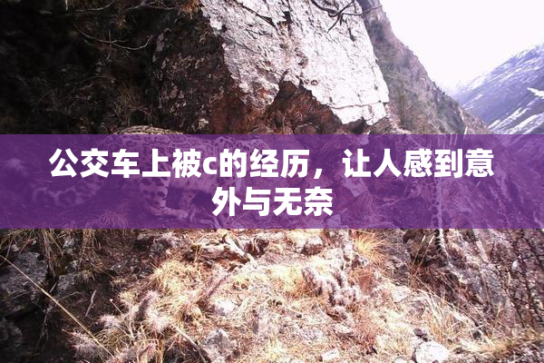 公交车上被c的经历，让人感到意外与无奈
