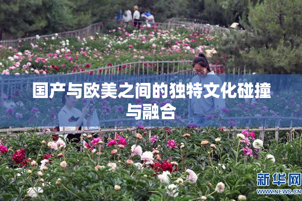 国产与欧美之间的独特文化碰撞与融合