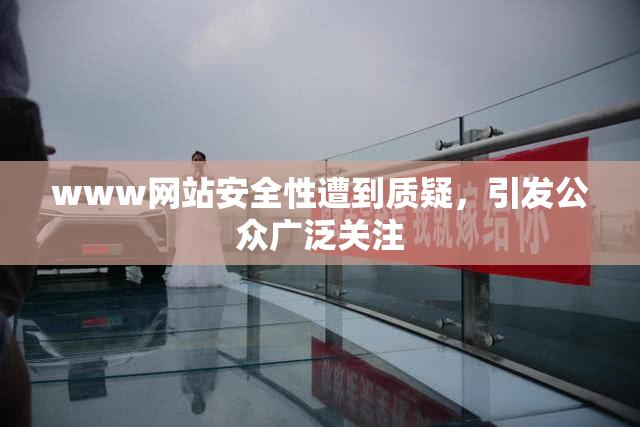 www网站安全性遭到质疑，引发公众广泛关注