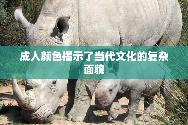 成人颜色揭示了当代文化的复杂面貌