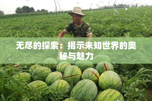 无尽的探索：揭示未知世界的奥秘与魅力