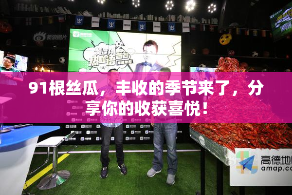 91根丝瓜，丰收的季节来了，分享你的收获喜悦！
