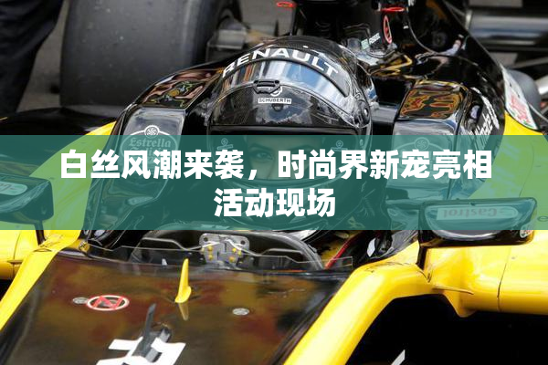 白丝风潮来袭，时尚界新宠亮相活动现场