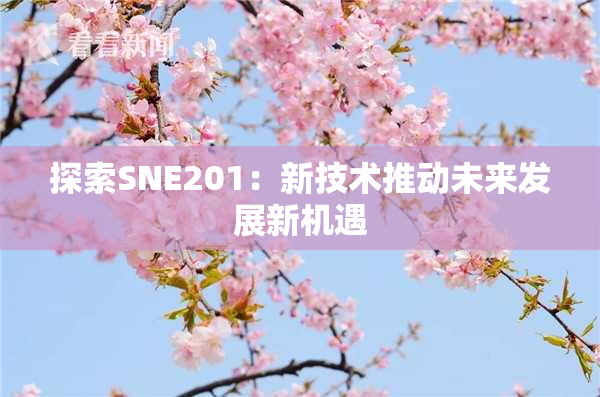 探索SNE201：新技术推动未来发展新机遇