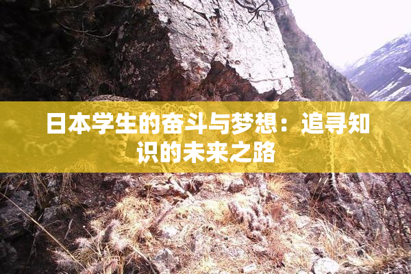 日本学生的奋斗与梦想：追寻知识的未来之路